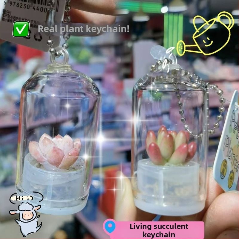 Plantă suculentă creativă, pandantiv mic, artizanal, cadou, ornament auto, decor, mini plantă, stres, relief, accesoriu mic
