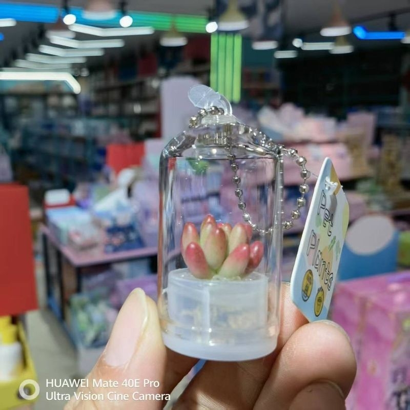 Kūrybingas sukulentų augalas, mažas pakabukas, amatų dovanų ornamentas, automobilio dekoracija, mini augalas, streso mažinimas, mažas aksesuaras