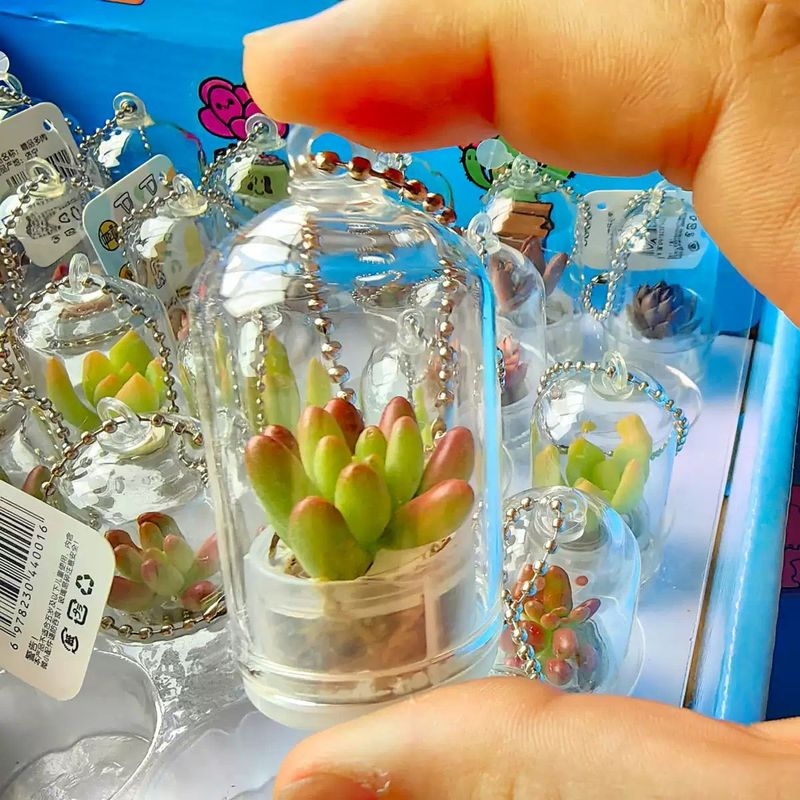 Kūrybingas sukulentų augalas, mažas pakabukas, amatų dovanų ornamentas, automobilio dekoracija, mini augalas, streso mažinimas, mažas aksesuaras