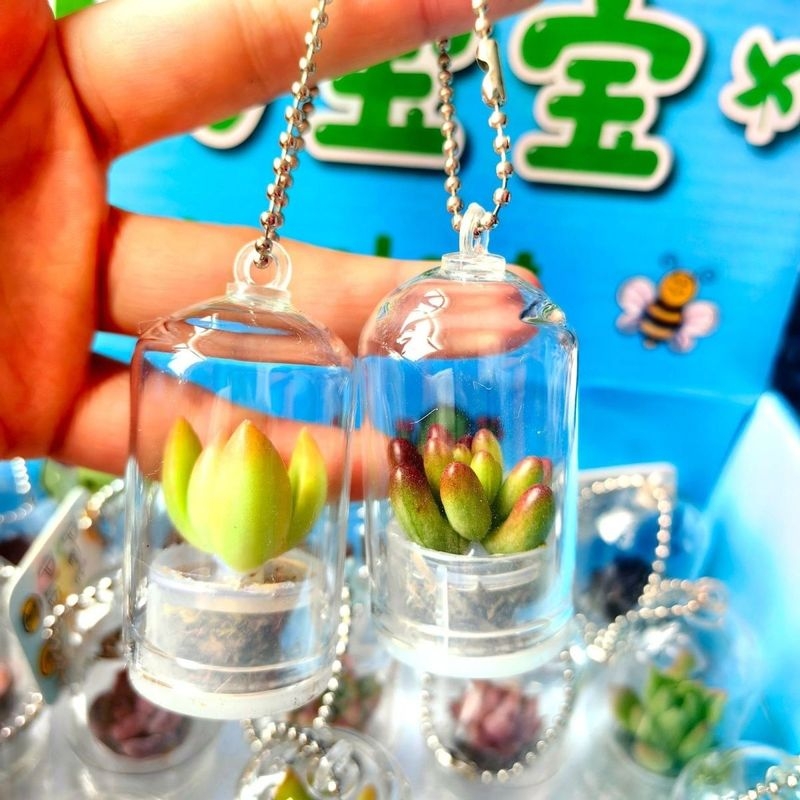 Kūrybingas sukulentų augalas, mažas pakabukas, amatų dovanų ornamentas, automobilio dekoracija, mini augalas, streso mažinimas, mažas aksesuaras