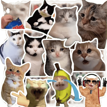 300 macska mém matrica cuki vicces szellem állat macska ins szél kifejezés táska szár figura anyag kéz könyv matricák