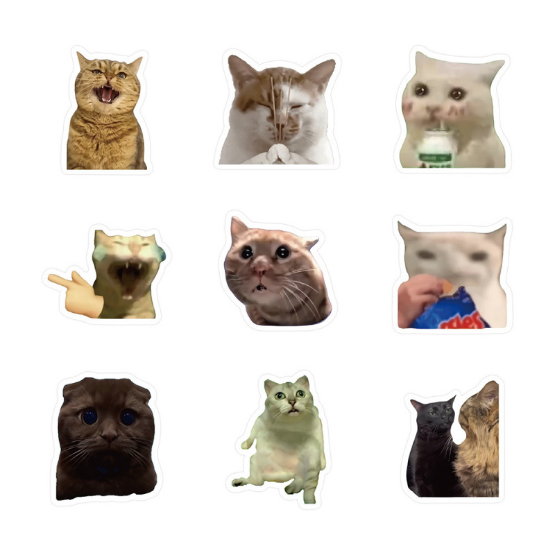 300 macska mém matrica cuki vicces szellem állat macska ins szél kifejezés táska szár figura anyag kéz könyv matricák