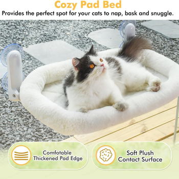 Αιώρα για γάτες σε διασυνοριακό επίπεδο, Γάτα, Φωλιά γάτας, Περβάζι παραθύρου, Κομοδίνο, Ηλιόλουστη βεντούζα, Μπαλκόνι, Γυάλινο βιότοπο γάτας, Φωλιά γάτας