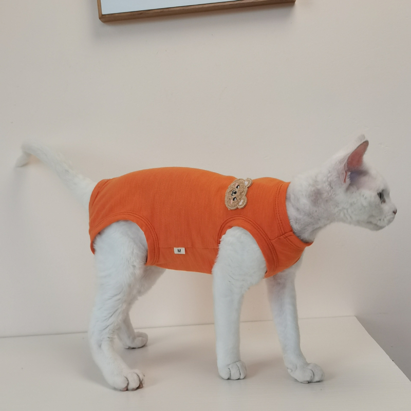 Лятна тънка тениска с четири крака, памучна, дишаща, малка, свежа, безкосместа котка сфинкс, немски дрехи