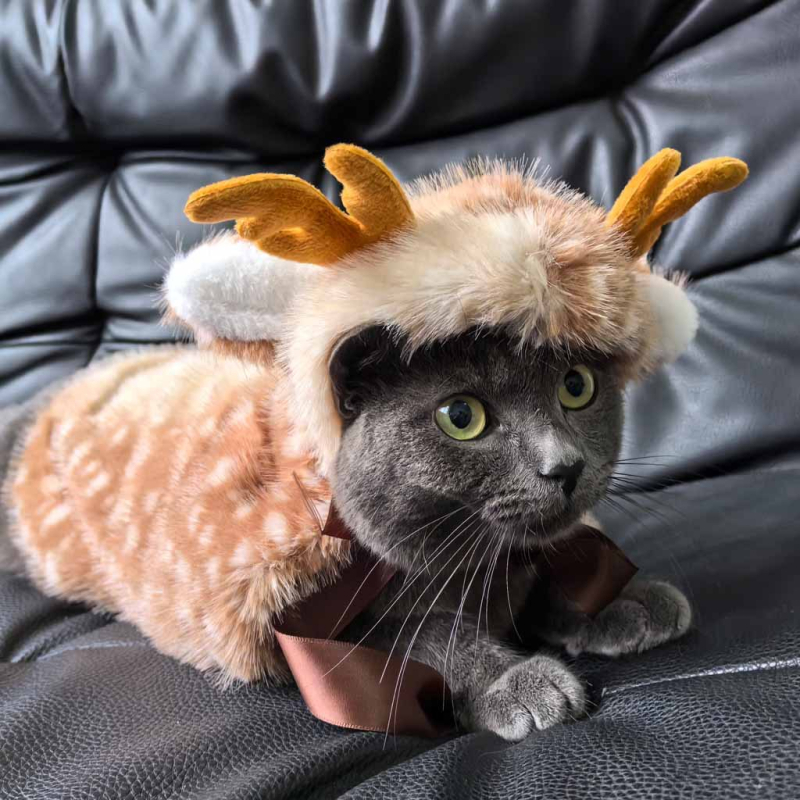 Коледен костюм за домашен любимец, лос, пончо, наметало, топло куче, котка, универсални дрехи, подходящи за рокля, шапка, аксесоари