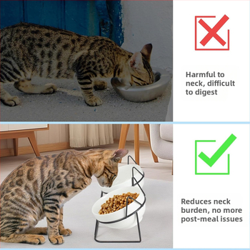 Amazon kisállattál, kutyatál, integrált dupla tál, macska rizstál, macskatál, kerámia, nem könnyen felborítható nyakvédő