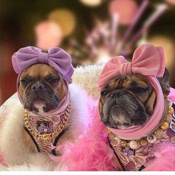 Шапки за домашни любимци от Amazon Сладки шапки за шапки Булдог Куче Облечи Панделка Забавна шапка Шапки