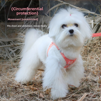 Νέο λουρί κατοικίδιων ζώων, ανακλαστικό, ζεστό και μαλακό σχοινί βόλτας για σκύλους, βελούδινο άνετο λουρί σκύλου All-In-One για κουνέλι