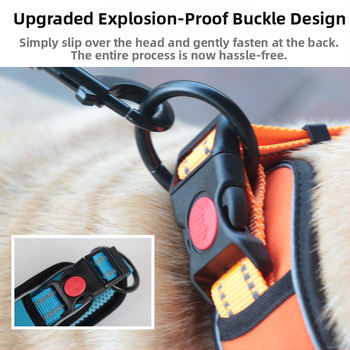 Κολάρο σκύλου μεσαίου και μεγάλου μεγέθους για διασυνοριακά είδη για κατοικίδια Κολάρο σκύλου για λαιμό μεσαίου μεγέθους σκύλος Golden Retriever Γερμανικό κολάρο αλόγου