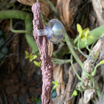 Simulatsioonviinapuu ronimine Lemmiklooma kast Maastikukaunistamine Roheline taim Surnud viinapuu Taime simulatsioon Lill Sisalik Kameeleon Roomav viinapuu