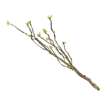 Simulatsioonviinapuu ronimine Lemmiklooma kast Maastikukaunistamine Roheline taim Surnud viinapuu Taime simulatsioon Lill Sisalik Kameeleon Roomav viinapuu