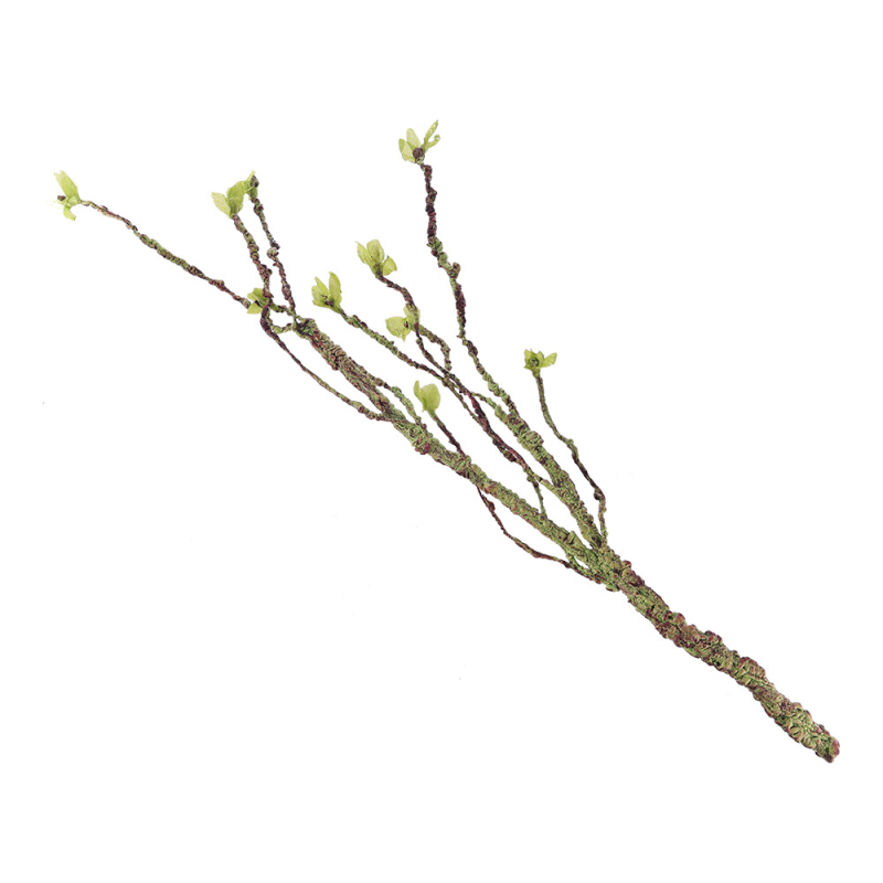 Simulatsioonviinapuu ronimine Lemmiklooma kast Maastikukaunistamine Roheline taim Surnud viinapuu Taime simulatsioon Lill Sisalik Kameeleon Roomav viinapuu