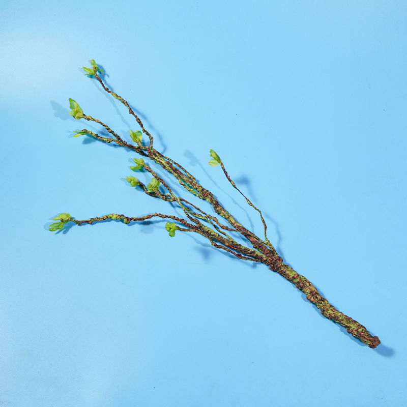 Simulatsioonviinapuu ronimine Lemmiklooma kast Maastikukaunistamine Roheline taim Surnud viinapuu Taime simulatsioon Lill Sisalik Kameeleon Roomav viinapuu