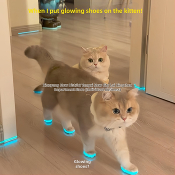 Šviečiantys katės bateliai, naminių gyvūnėlių bateliai, švilpukas, šviečiantys vaikų žaislai, naktinių nuotraukų aksesuarai, katės apranga