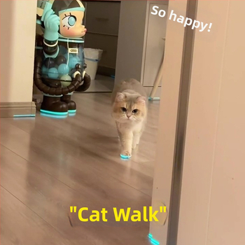 Šviečiantys katės bateliai, naminių gyvūnėlių bateliai, švilpukas, šviečiantys vaikų žaislai, naktinių nuotraukų aksesuarai, katės apranga