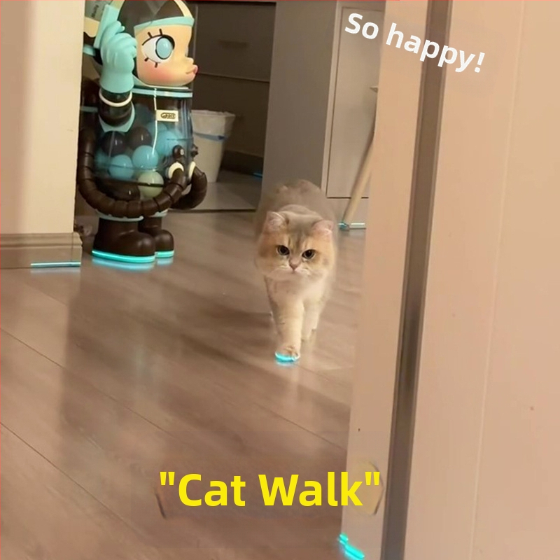 Светещи обувки за котки, обувки за кучета, свирка, светещи детски играчки, аксесоари за нощни снимки, обличане на котки