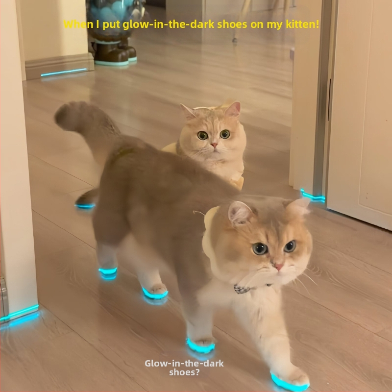 Šviečiantys katės bateliai, naminių gyvūnėlių bateliai, švilpukas, šviečiantys vaikų žaislai, naktinių nuotraukų aksesuarai, katės apranga