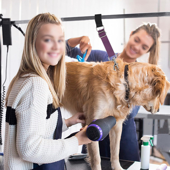 Αξεσουάρ βραχιόνων τραπεζιού περιποίησης σκύλου Ρυθμιζόμενος δακτύλιος επέκτασης Ιμάντας συγκράτησης μπάνιου Νάιλον ανθεκτικός στην τριβή Δακτύλιος περιποίησης σκύλου