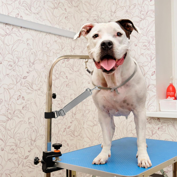 Εργοστάσιο Χονδρικής Ζώνης Επέκτασης Βραχίονα Περιποίησης Σκύλου για Κατοικίδια Ζώνη Επέκτασης Βραχίονα Χτενίσματος Αξεσουάρ Βραχίονα Περιποίησης Μπάνιου Σκύλου Ζώνη Περιποίησης Μπάνιου