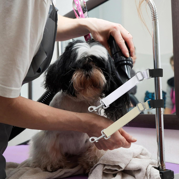 Εργοστάσιο Χονδρικής Ζώνης Επέκτασης Βραχίονα Περιποίησης Σκύλου για Κατοικίδια Ζώνη Επέκτασης Βραχίονα Χτενίσματος Αξεσουάρ Βραχίονα Περιποίησης Μπάνιου Σκύλου Ζώνη Περιποίησης Μπάνιου