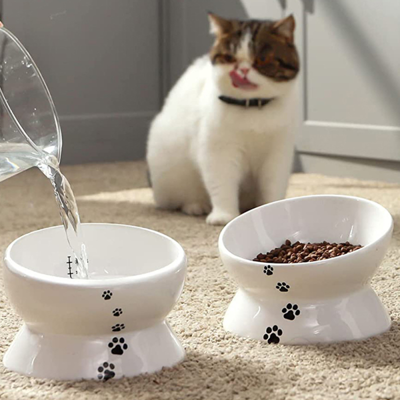 Piiriülene hulgimüügi lemmikloomade joogikauss, löögikindel kassitoidukauss, kõrge jalaga kaldus keraamiline kassikauss, koerakauss, kaelakaitse