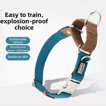 Koerakaelarihm koeramärgisega, väljalangemisvastane, P-kaelarihm väikestele, keskmistele ja suurtele koertele, kuldne retriiver, plahvatuskindel P-kaelarihm lemmikloomatarvetele