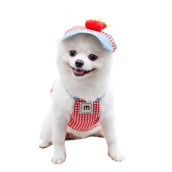 [Κατάστημα] Τηγανητές πατάτες, κοστούμι με σχοινί έλξης για κατοικίδια, ρούχα για γάτες και κουτάβια Four Seasons, αγοράστε με άνεση