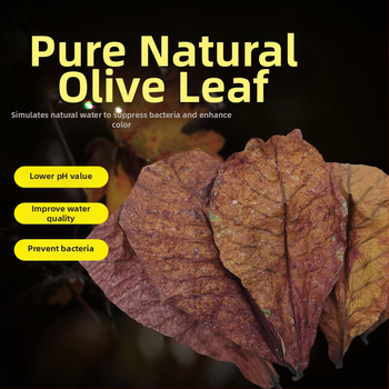 Nevirtų Elemene lapų Dou žuvies tinginių lapų žuvų akvariumo rūgštingumą mažinantis pH reguliatorius akvariumo skystas vėžlių alyvuogių lapų arbatos maišelis