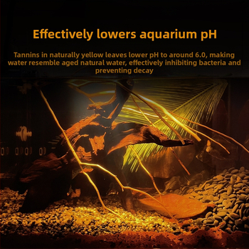 Nevirtų Elemene lapų Dou žuvies tinginių lapų žuvų akvariumo rūgštingumą mažinantis pH reguliatorius akvariumo skystas vėžlių alyvuogių lapų arbatos maišelis