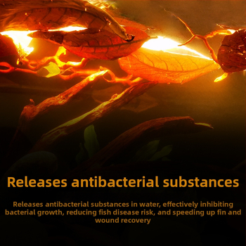 Nevirtų Elemene lapų Dou žuvies tinginių lapų žuvų akvariumo rūgštingumą mažinantis pH reguliatorius akvariumo skystas vėžlių alyvuogių lapų arbatos maišelis