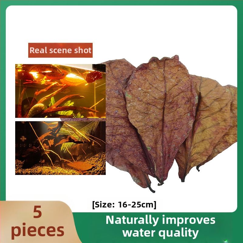 Nevirtų Elemene lapų Dou žuvies tinginių lapų žuvų akvariumo rūgštingumą mažinantis pH reguliatorius akvariumo skystas vėžlių alyvuogių lapų arbatos maišelis