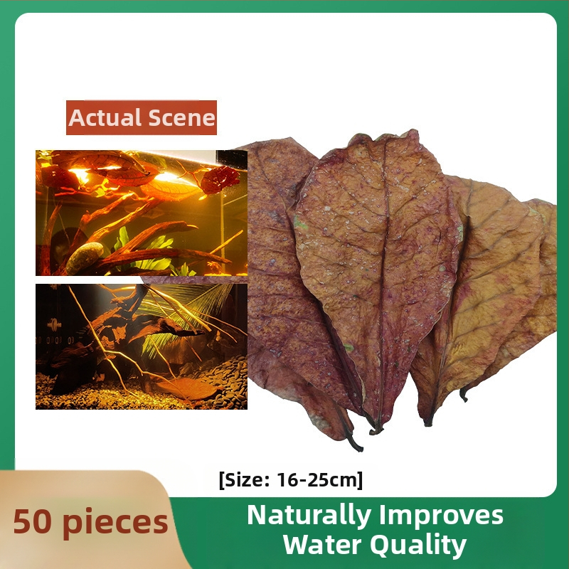 Nevirtų Elemene lapų Dou žuvies tinginių lapų žuvų akvariumo rūgštingumą mažinantis pH reguliatorius akvariumo skystas vėžlių alyvuogių lapų arbatos maišelis