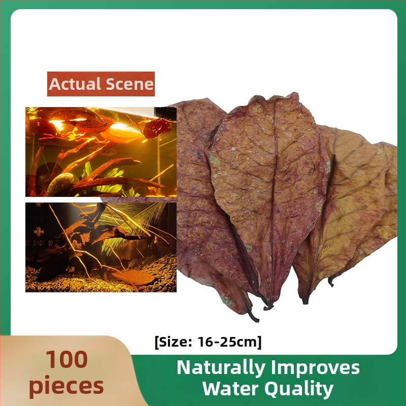 Nevirtų Elemene lapų Dou žuvies tinginių lapų žuvų akvariumo rūgštingumą mažinantis pH reguliatorius akvariumo skystas vėžlių alyvuogių lapų arbatos maišelis