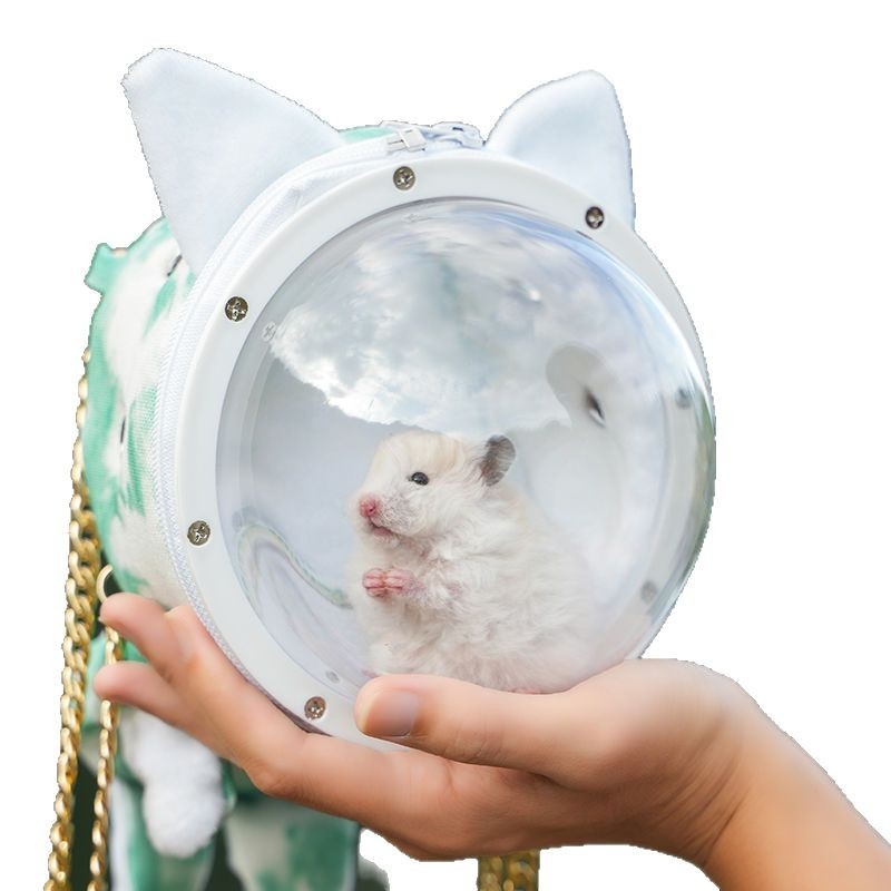 Hamsteri taskust väljas olev puuri meekott kasvas taskust väljas kaasaskantavatest hingavatest tarvikutest kuldne karu läbipaistev taskust väljas olev väikese lemmiklooma seljakott