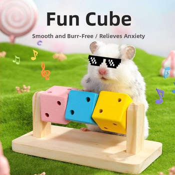Žiurkėno linksmybės Rubiko kubas medinis žaislas Molariniai reikmenys Auksinio lokio lizdas medinis medinis žaislas iš medžio masyvo, spalvotas kostiumas