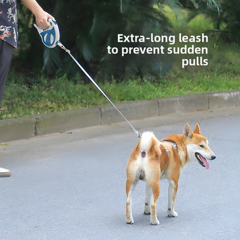 Λουρί σκύλου έτοιμο για κατοικίδια, αυτόματο ανασυρόμενο λουρί σκύλου, αλυσίδα σκύλου για μεσαία και μεγάλα σκυλιά, λουρί σκύλου κατά της απώλειας