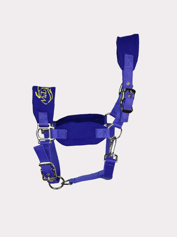 Hobusepöörad, vastupidavad ja reguleeritavad rakmed väikestele ja suurtele hobustele, sobivad ratsutamiseks