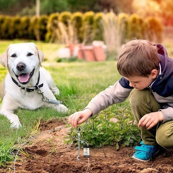 Εργοστάσιο Προσαρμοσμένο για την Κατοικίδια Ζώα Λουράκι Εξωτερικό Σκυλιών Λουράκι Σκύλου Σκύλου Πασσάλων Post Σταθερό Σπειροειδές Στυλ Κάμπινγκ Γηπέδου Καρφιών