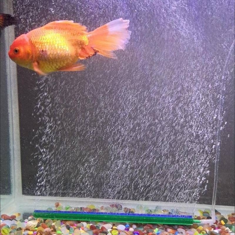 Akvārija skābekļa sūkņa burbuļakmens gaisa sloksne zivju tvertnes burbuļakmens burbuļakmens ainavu gaisa aizkara dekorācija nano gaisa diska akmens