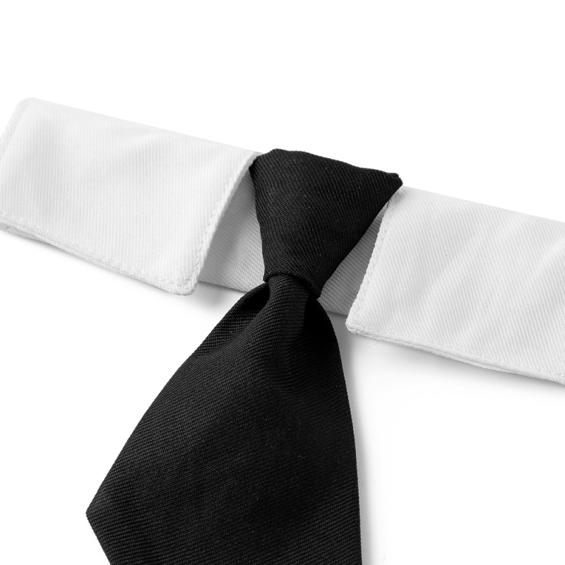 Tehase otsene piiriülene uus Briti stiilis lemmikloomade pulmapidu ülikond lemmikloomade kaelarihmaga koerale ilus sall