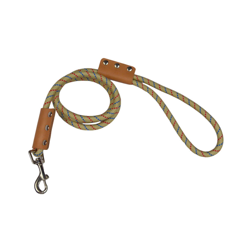 Keskmise ja suure koera koljukaelarihm, keskmise ja suure lemmiklooma kaelarihm, kuldse retriiveri, husky, bordercollie kaelarihm, punk stiilis