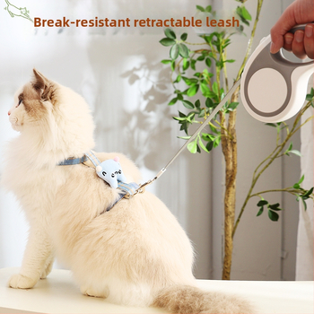 Koera- ja kassirihm Automaatne sissetõmmatav purunemisvastane koerte jalutusrihm Väikeste koerte Teddy Corgi väljasõit