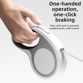 Koera- ja kassirihm Automaatne sissetõmmatav purunemisvastane koerte jalutusrihm Väikeste koerte Teddy Corgi väljasõit