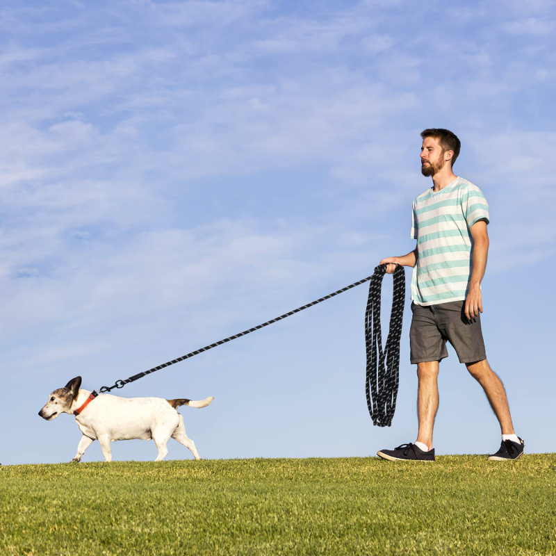 Határokon átnyúló robbanások kutyasétáltatás kötél kutyapóráz nem csak kisállat lánc kutya p kötél kutyapóráz egy tétel