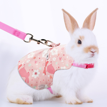 Piiriülene uus küüliku rinnakorvi tagakaas Hollandi seaküüliku köis väikesele lemmikloomale veojõuköis rinnakorvi seljale Moe küüliku kaelaköis