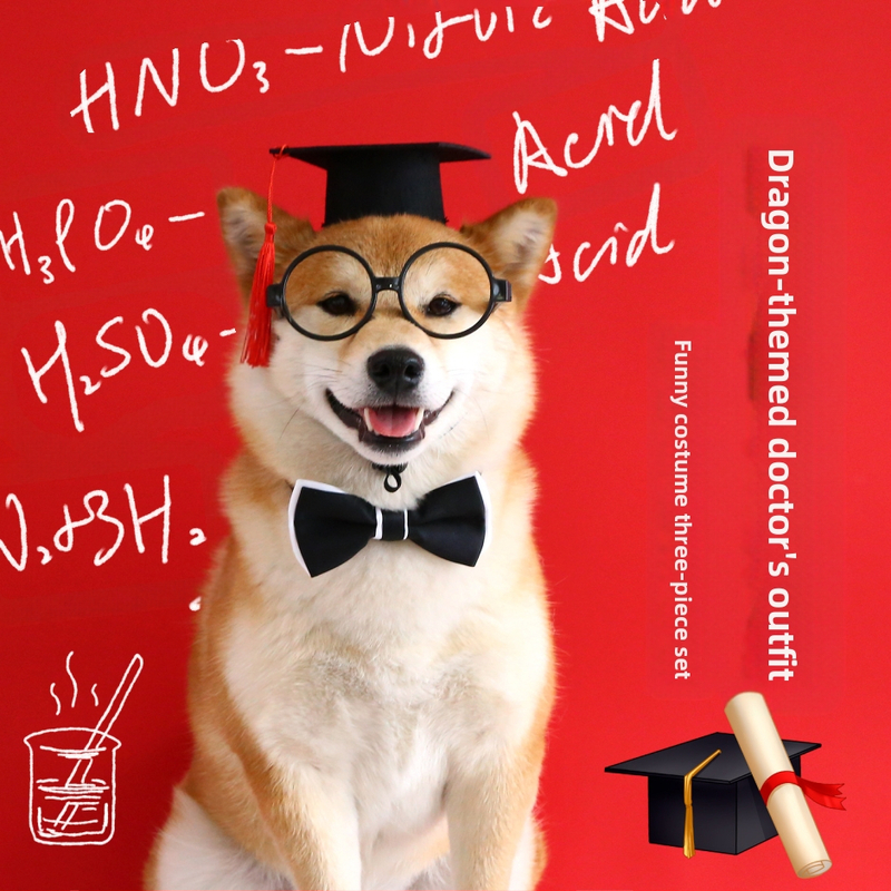 Домашни любимци фотография Докторска шапка Комплект за абитуриентски сезон Котка Куче Очила Папионка Парти Рокля Джентълмен Реквизит Филц