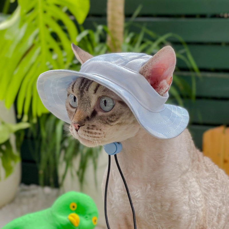 Популярна сладка шапка за домашни любимци на Amazon, разкриваща ушите, регулируема шапка за домашни любимци против удушаване и проливане