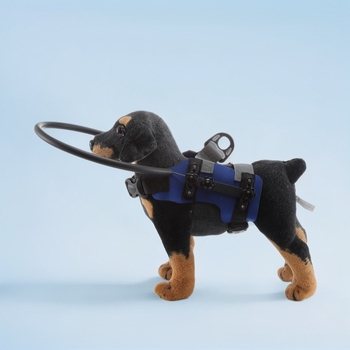 Határokon átnyúló kisállat kutya vak szem ütközésgátló kör idős kutya akadály blokkoló védőkör kisállat ütközésgátló kör