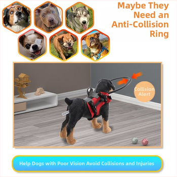 Határokon átnyúló kisállat kutya vak szem ütközésgátló kör idős kutya akadály blokkoló védőkör kisállat ütközésgátló kör