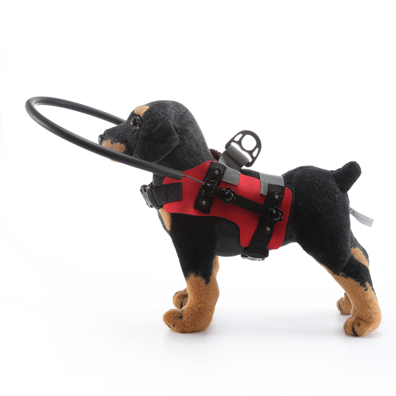 Határokon átnyúló kisállat kutya vak szem ütközésgátló kör idős kutya akadály blokkoló védőkör kisállat ütközésgátló kör